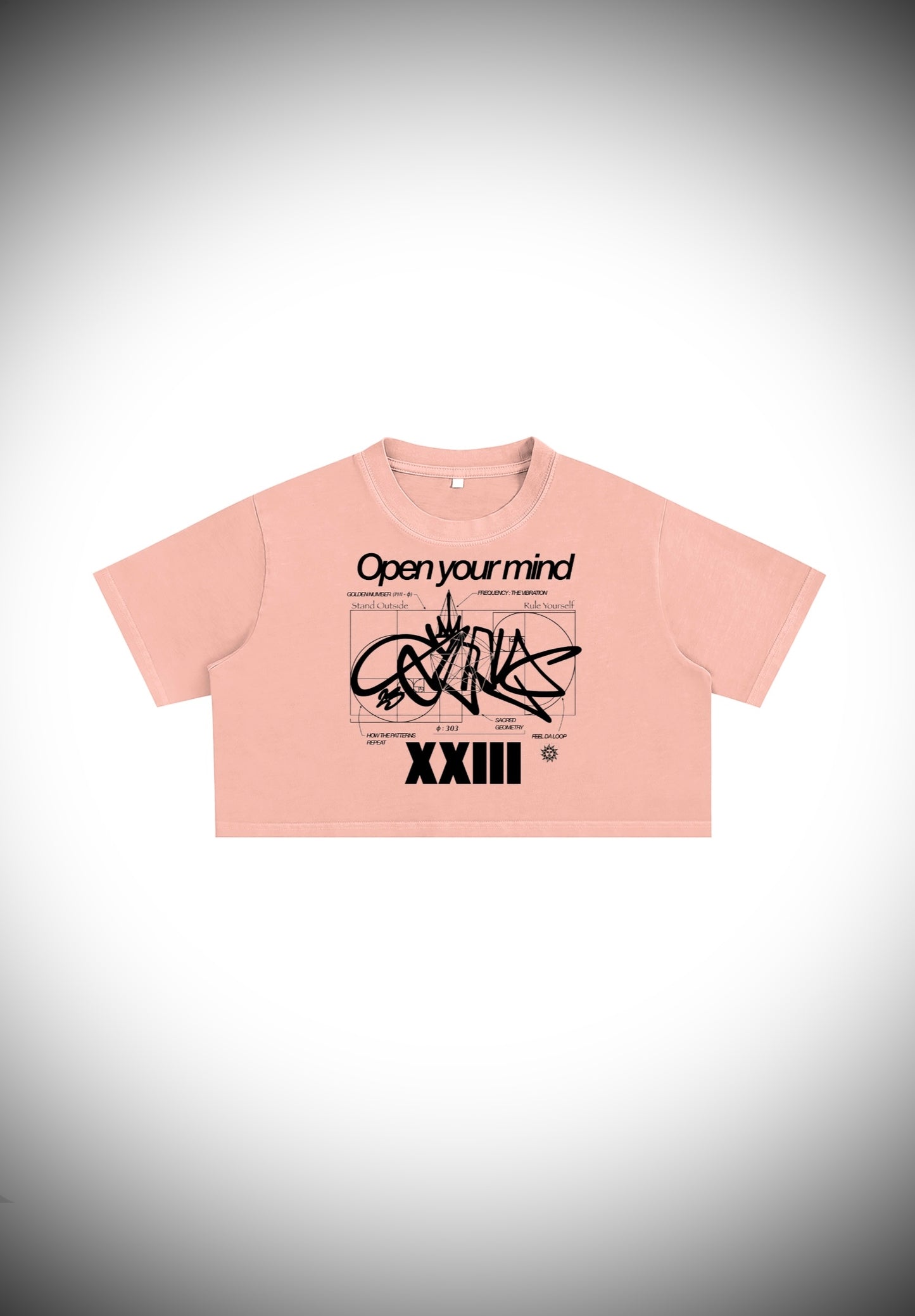 OPEN YOUR MIND _ Washed Crop Top