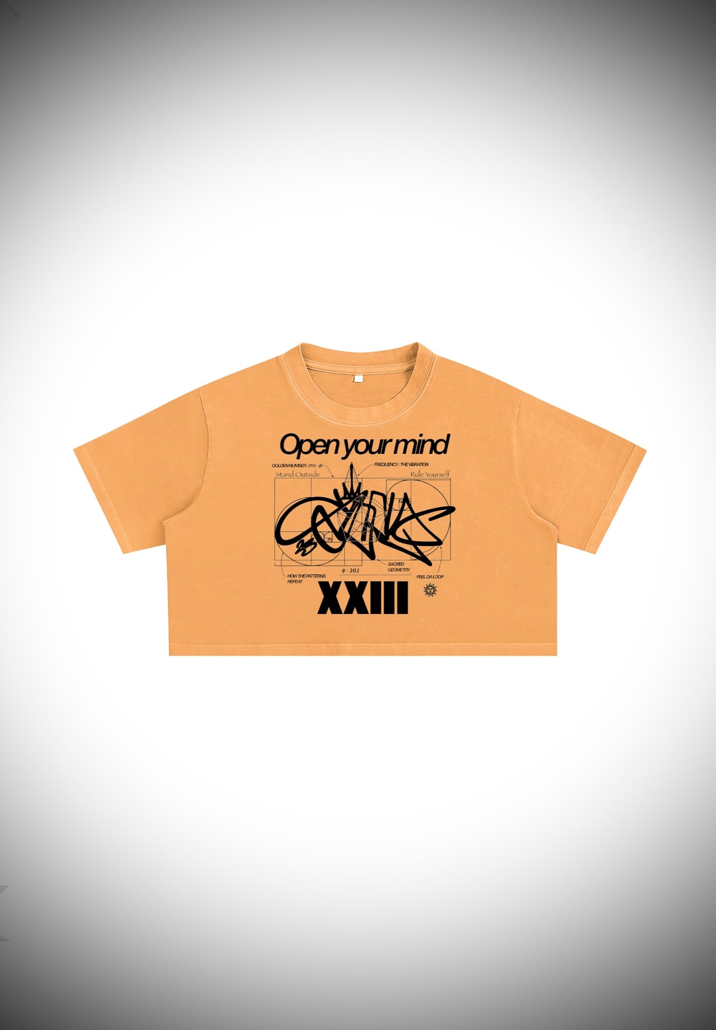 OPEN YOUR MIND _ Washed Crop Top
