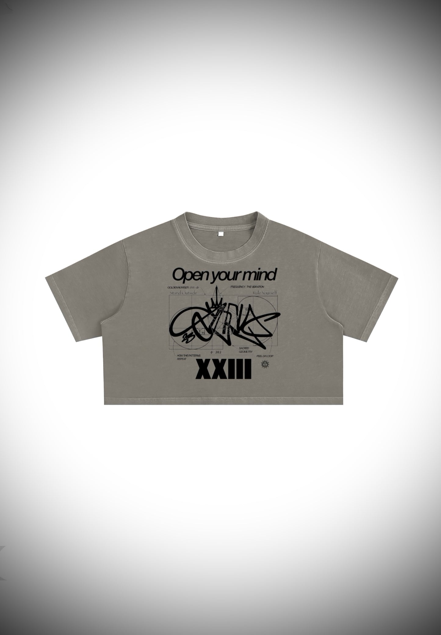 OPEN YOUR MIND _ Washed Crop Top